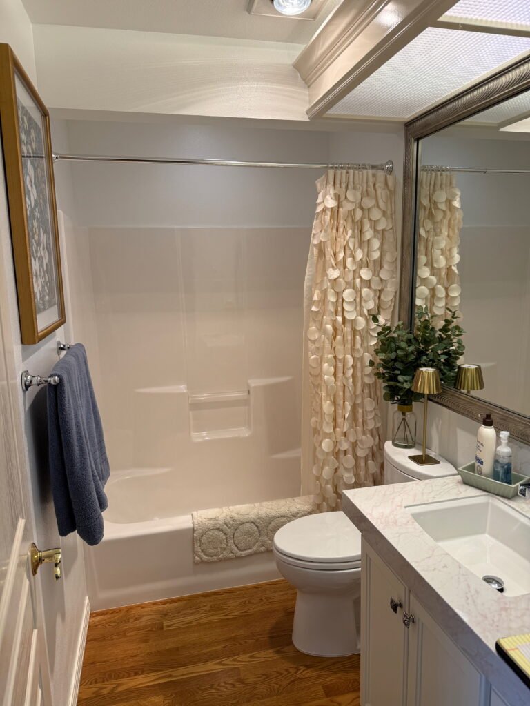 bathroom remodel before picture
